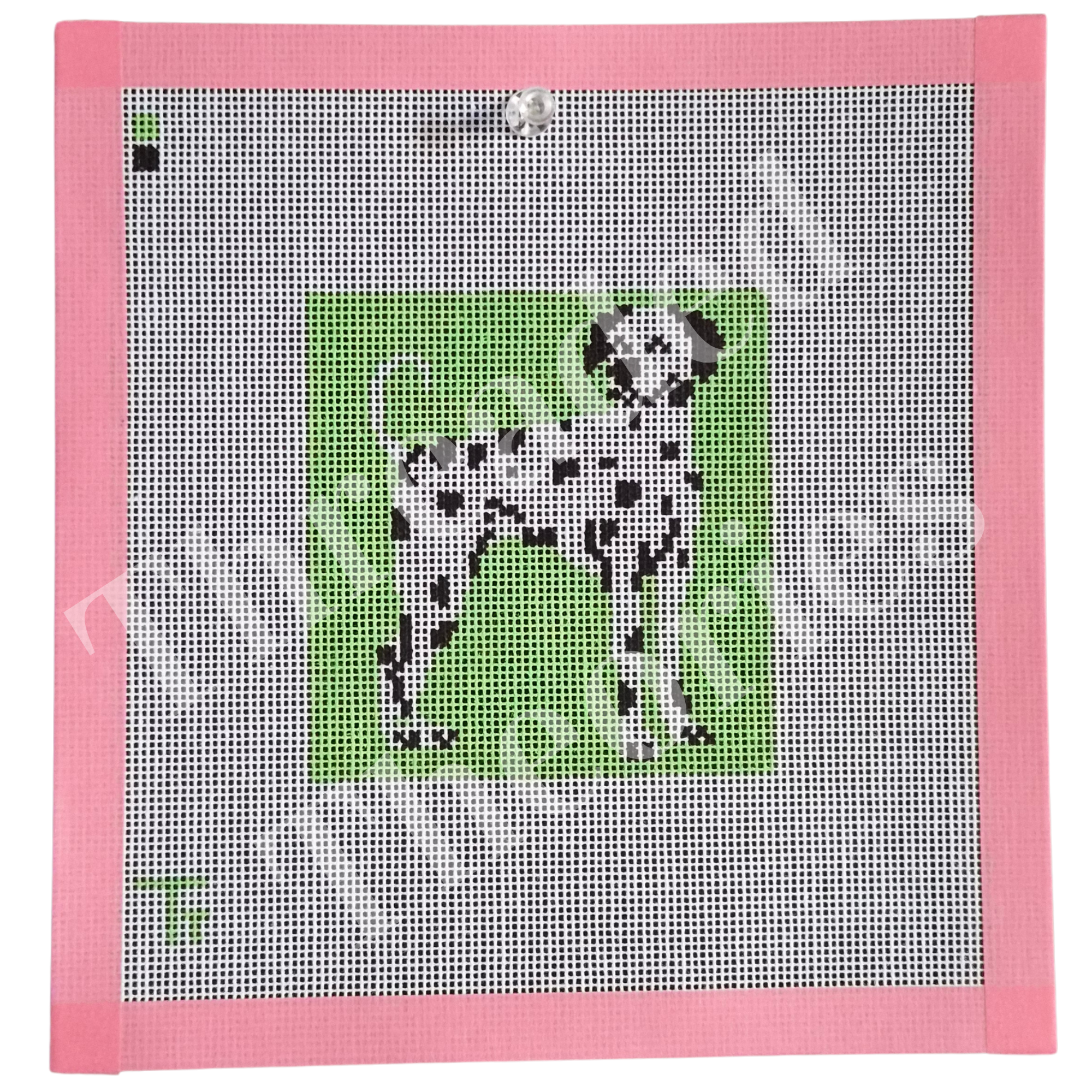 Dalmatian Portrait (Wholesale)